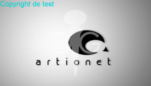 exemple copyright + watermark