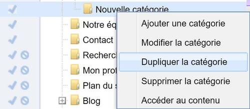 Duplication d'une catégorie