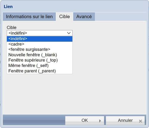 Ajouter un lien sur une catégorie du site